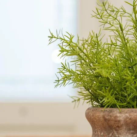 Aurora Πέρα Γυαλός